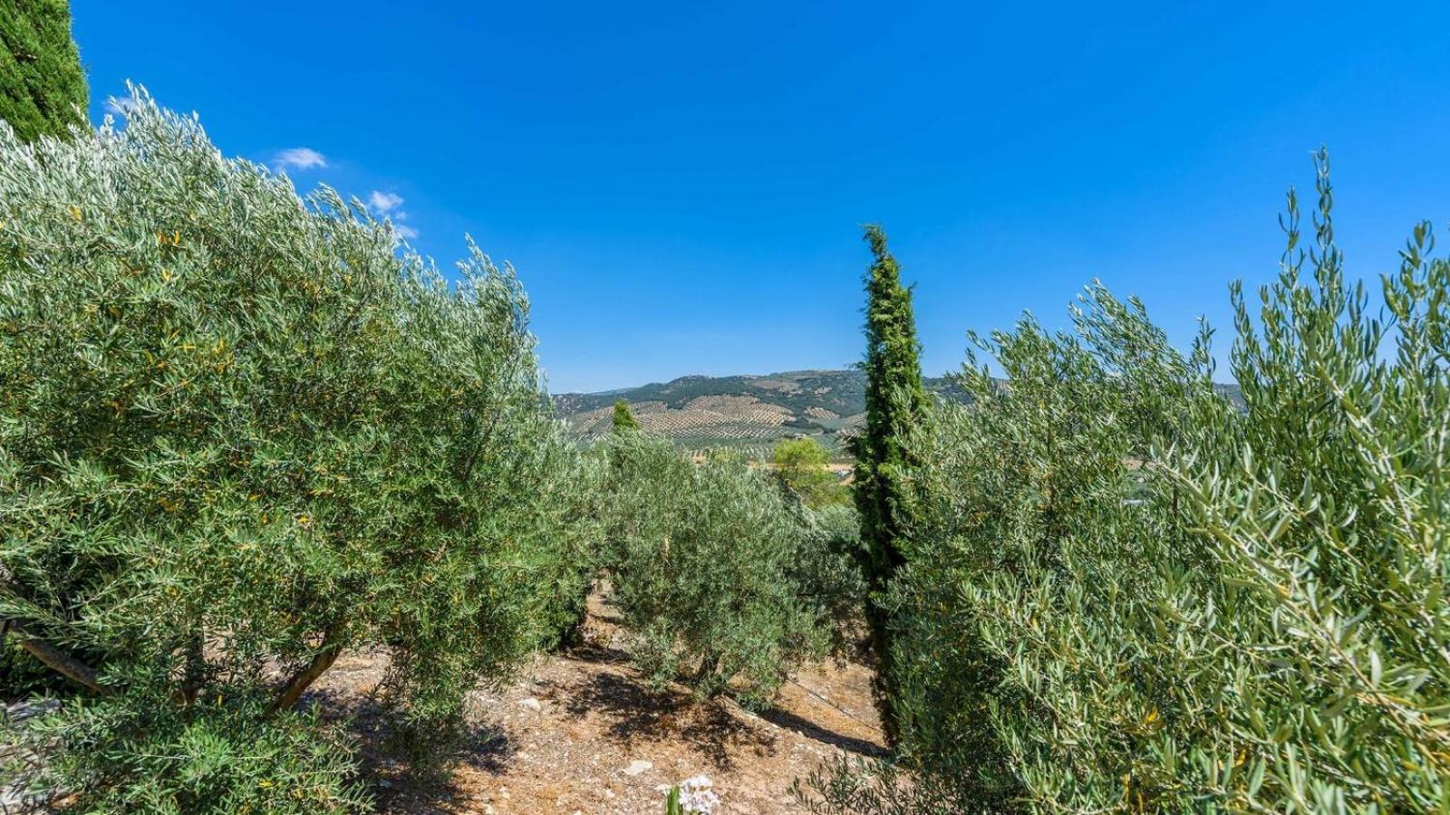 Вілла Cortijo Casablanca Priego De Cordoba By Ruralidays Екстер'єр фото
